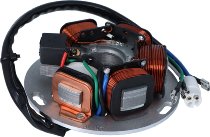Stator de l'alternateur