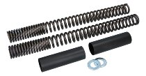 Wirth Fork spring kit progressive with homologation -