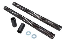 Wirth Fork spring kit progressive with homologation - Cagiva