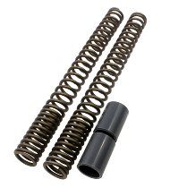 Wirth Fork spring kit progressive with homologation - Cagiva