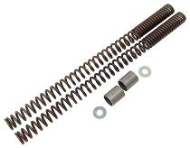 Wirth Fork spring kit progressive with homologation -