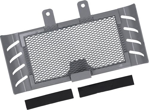 SD-Tec Parrilla radiador plata Bmw R Nine T 2014 - 2016 (1