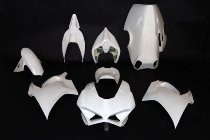 SD-Tec racing fairing Ducati Panigale V4