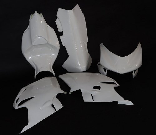 SD-Tec racing fairing MV AUGUSTA F4 1999-2009