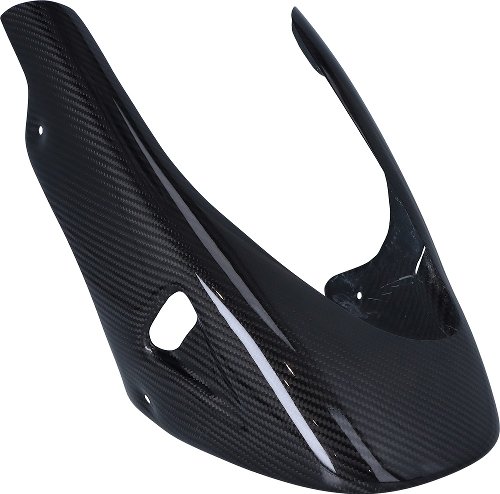 CarbonAttack Bugspoiler für Ducati Monster 620/695