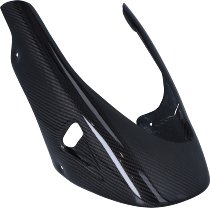 CarbonAttack Bugspoiler für Ducati Monster 620/695