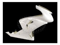 Cruciata Racing fairing - Kawasaki 1000 ZX-10R 2006-2007