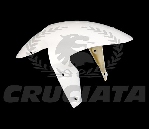 Cruciata Mudguard front - Triumph 675 Daytona 2006-2008