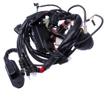 Ducati Wiring harness, front - ST4 S 2001-2002