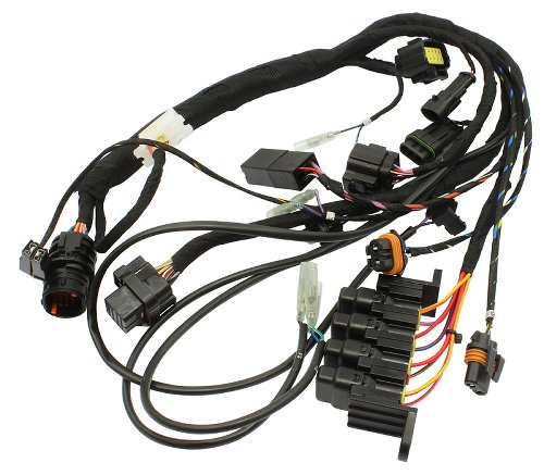 Ducati Wiring harness front - 749, 999, S, R