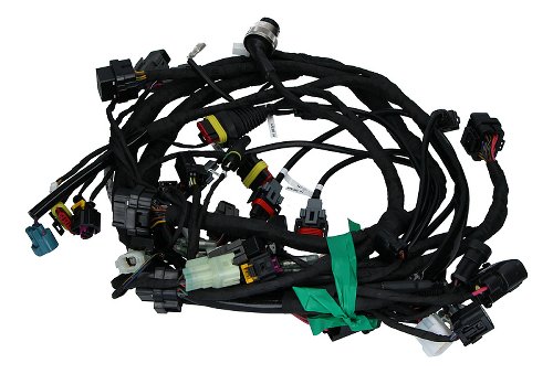 Ducati Wiring harness - 1199 Panigale 2012-2013