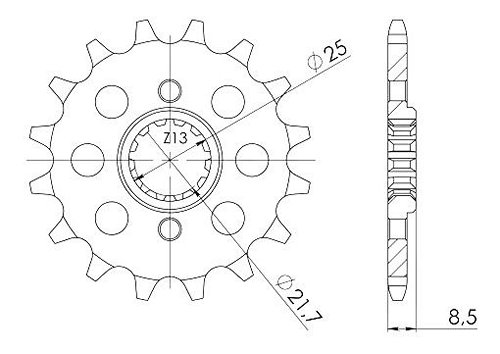 Supersprox Pinion 520 - 13Z - fine toothed 21,6/25,0