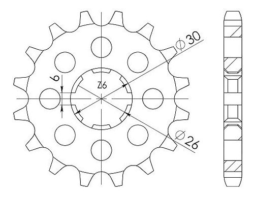 Supersprox pignone 530 - 17Z - a dentatura grossa 26,0/30,0