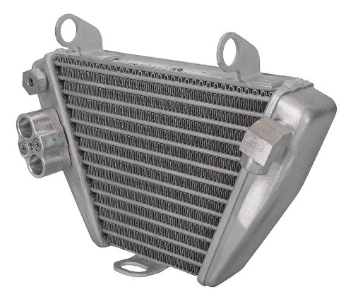 Ducati Oil cooler - 1260 XDiavel, S, Dark, Black Star