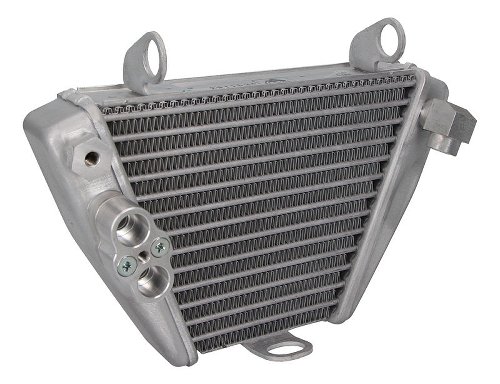 Ducati Oil cooler - 1260 XDiavel, S, Dark, Black Star