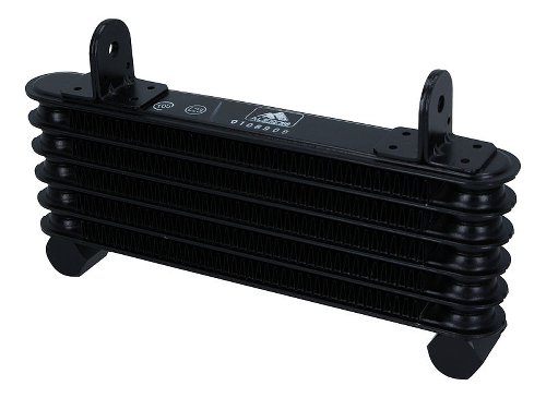 Ducati Oil cooler black - 796 Hypermotard