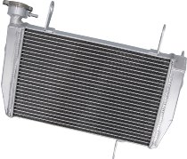SD-TEC Wasserkühler Ducati Hypermotard / Hyperstrada 821