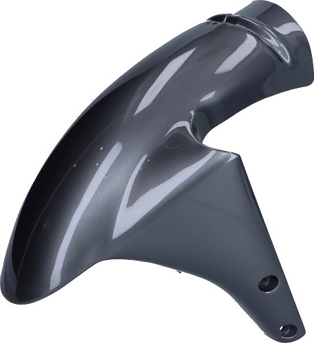 Ducati Mudguard front, grey - 750, 800, 900, 1000 SS i.e.