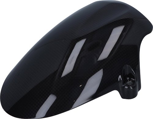 Ducati Mudguard carbon, front - 1100 Hypermotard Evo SP