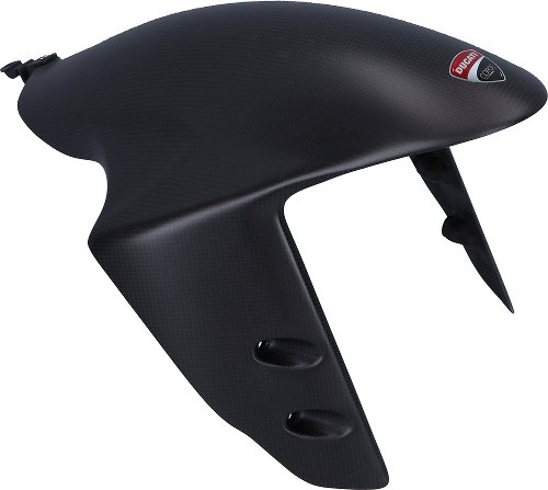 Ducati Mudguard front, carbon - 1199 R, Superleggera