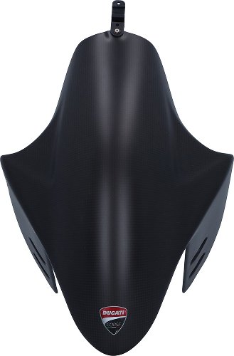 Ducati Mudguard front, carbon - 1199 R, Superleggera