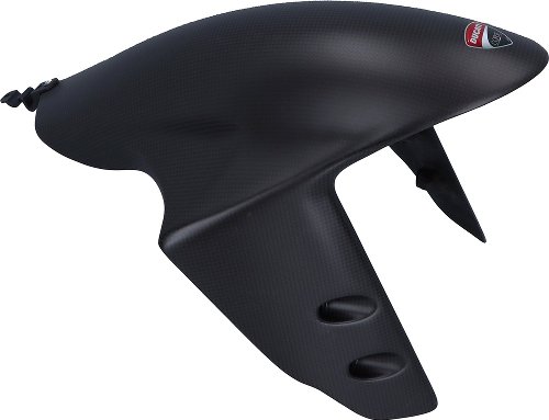 Ducati Mudguard front, carbon - 1199 R, Superleggera