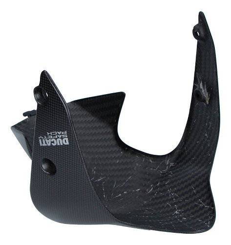 Ducati Mudguard front, carbon - 1200 Monster S 2014-2016