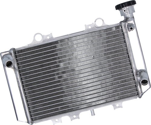 SD-TEC Refroidisseur d'eau BMW G310GS 18-21