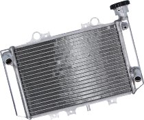 SD-TEC Refroidisseur d'eau BMW G310GS 18-21