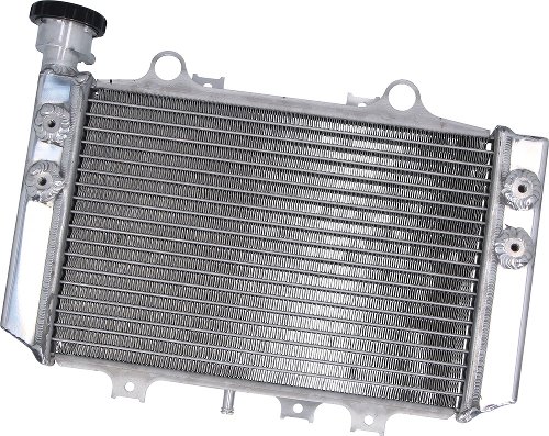 SD-TEC Refroidisseur d'eau BMW G310GS 18-21