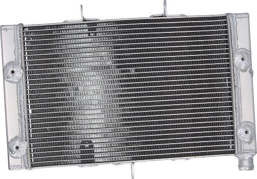 SD-TEC Radiateur à eau Honda CB1000R / ABS 08-16