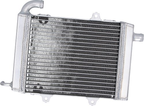 SD-TEC water cooler Honda GL1800 Gold Wing ( Left ) 18-22