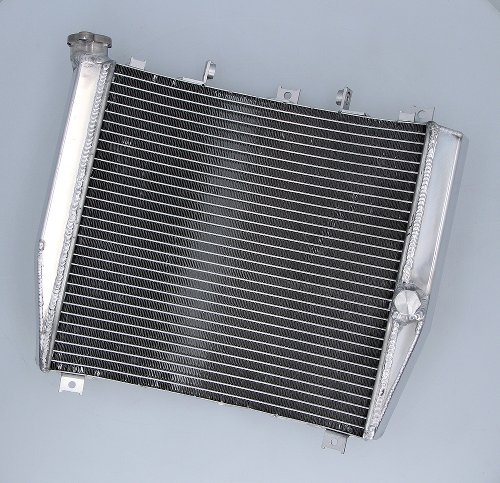 SD-TEC Radiateur à eau Kawasaki FX400R