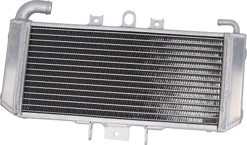 SD-TEC Refroidisseur d'eau Yamaha FZS600 Fazer 98-03