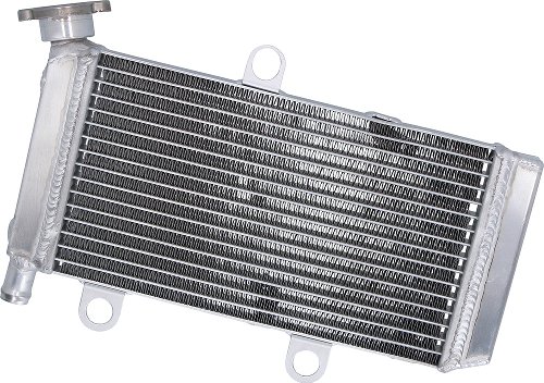 SD-TEC Refrigerador de agua Yamaha XT660R / X 04-14