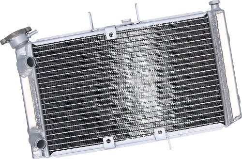 SD-TEC water cooler Triumph Tiger 800 10-17