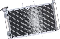 SD-TEC water cooler Triumph Tiger 800 10-17