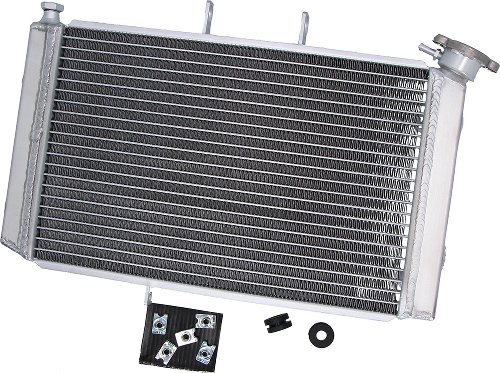 SD-TEC Refrigerador de agua Triumph Tiger 800 10-17