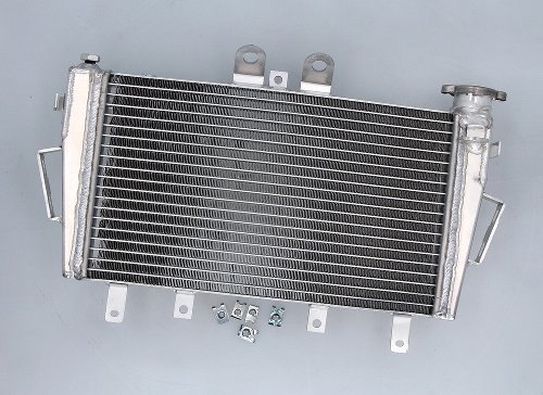 SD-TEC water cooler Triumph Tiger 1050 06-18