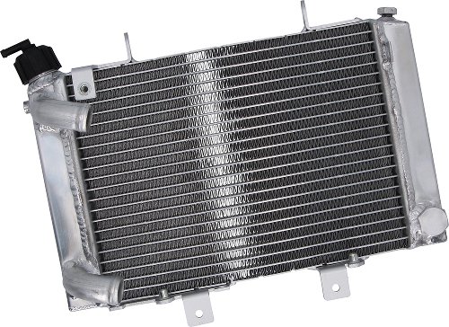 SD-TEC water cooler KTM Duke 690 07-10