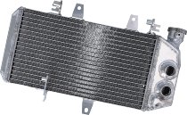 Radiatore acqua SD-TEC BMW F650GS K7X 06-12,F700GS