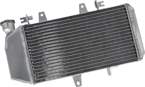 Radiatore acqua SD-TEC BMW F650GS K7X 06-12,F700GS