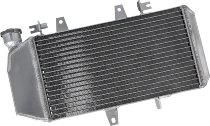 Radiatore acqua SD-TEC BMW F650GS K7X 06-12,F700GS