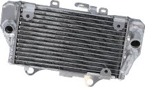 SD-TEC water cooler Honda CRF1100 (Left) 20-23