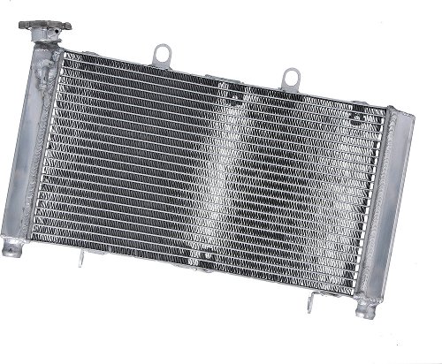 SD-TEC Wasserkühler Honda NRX1800 ( oben ) 04-05