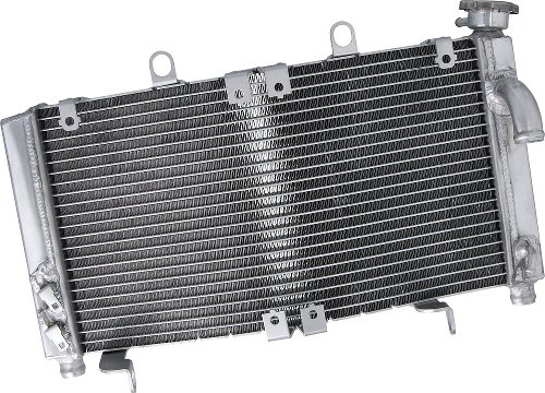 SD-TEC Wasserkühler Honda NRX1800 ( oben ) 04-05
