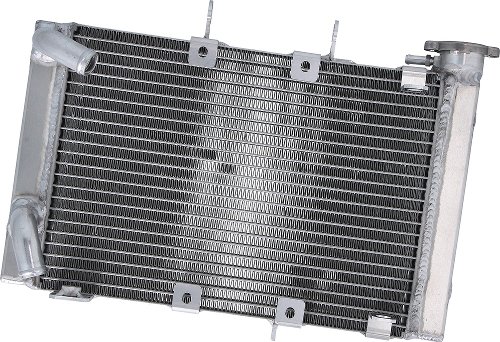 Radiatore acqua SD-TEC TRIUMPH Trident 660 20-22