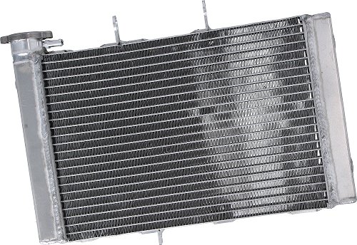 Radiatore acqua SD-TEC TRIUMPH Trident 660 20-22