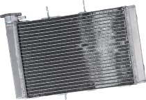 Radiatore acqua SD-TEC TRIUMPH Trident 660 20-22