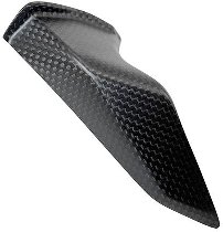 Carbonworld chain guard carbonfiber for Ducati Panigale